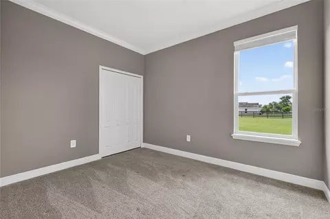 Bedroom - 35542 Seneca Reserve Dr, Eustis, FL 32736 photo 8 of 11