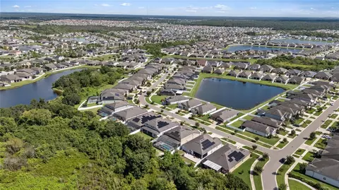 View/Area - 11608 Dublin Grafton Dr, Riverview, FL 33579 photo 10 of 11