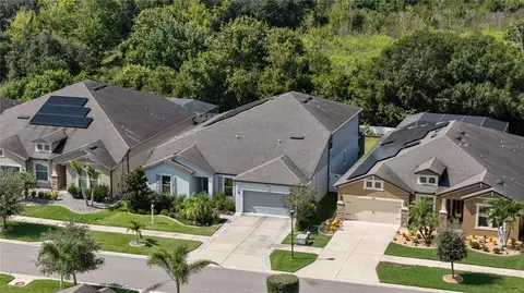 View/Area - 11608 Dublin Grafton Dr, Riverview, FL 33579 photo 4 of 11