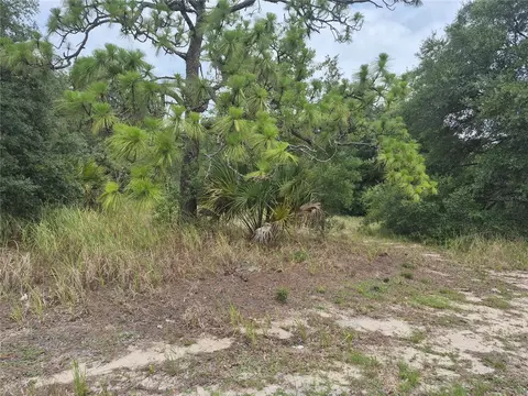 1626 S Us 301, Sumterville, FL 33585