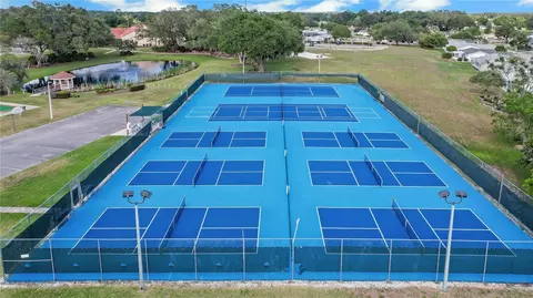 View/Area - 10608 SE 174th Loop, Summerfield, FL 34491 photo 5 of 9