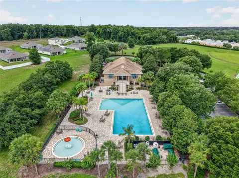 View/Area - 5006 Rishley Run Way, Mount Dora, FL 32757 photo 7 of 11