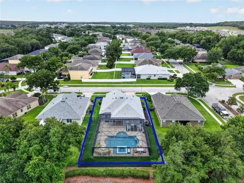 View/Area - 5006 Rishley Run Way, Mount Dora, FL 32757 photo 2 of 11
