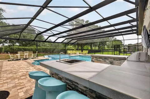 Exterior - 5006 Rishley Run Way, Mount Dora, FL 32757 photo 13 of 29