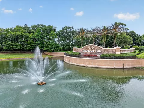 View/Area - 5006 Rishley Run Way, Mount Dora, FL 32757 photo 11 of 11