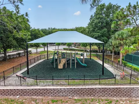 View/Area - 5006 Rishley Run Way, Mount Dora, FL 32757 photo 8 of 11