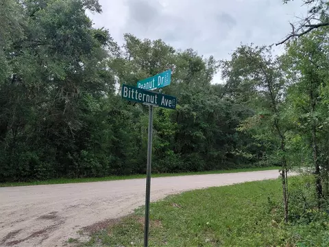 Peanut Drive, Webster, FL 33597