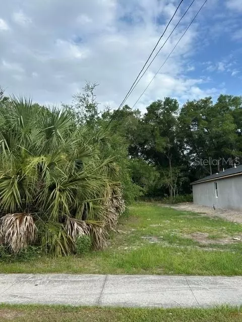 Palmetto Street, Eustis, FL 32726