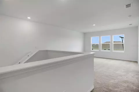 Other - 7422 Sea Manatee St, Parrish, FL 34219 photo 2 of 11