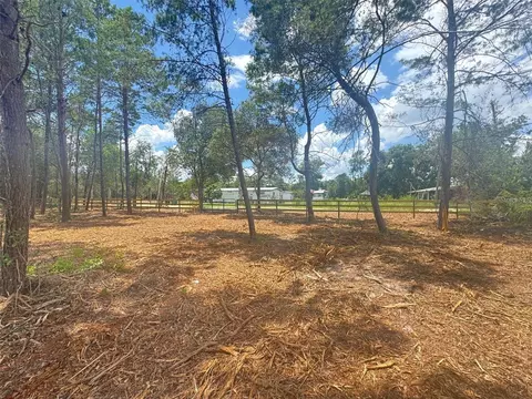 E Pine Street, Paisley, FL 32767
