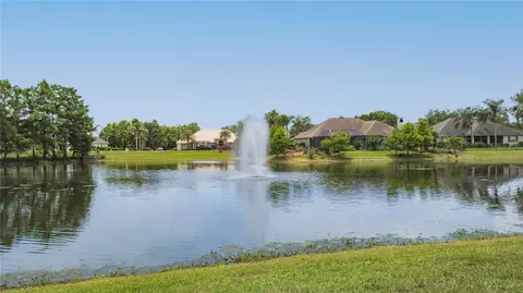 View/Area - 19512 Spring Oak Dr, Eustis, FL 32736 photo 7 of 8