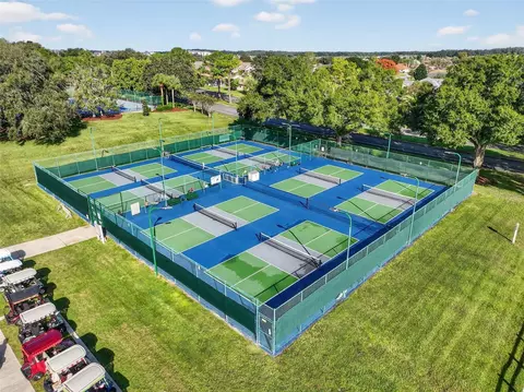 View/Area - 11075 SE 174th Loop, Summerfield, FL 34491 photo 11 of 15