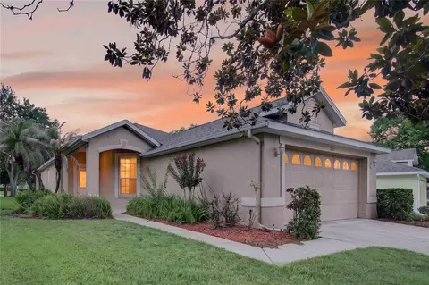 1005 Saint Ives Ct, Mount Dora, FL 32757