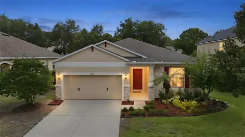 Exterior - 20945 Oldenburg Loop, Mount Dora, FL 32757 photo 8 of 8