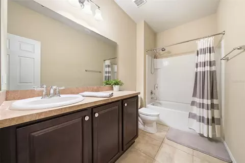 Bath - 20945 Oldenburg Loop, Mount Dora, FL 32757 photo 3 of 3