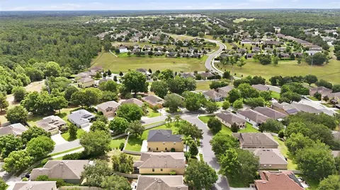 View/Area - 20945 Oldenburg Loop, Mount Dora, FL 32757 photo 7 of 14
