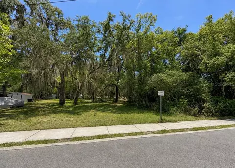 711 Pine, Mount Dora, FL 32757 photo 3