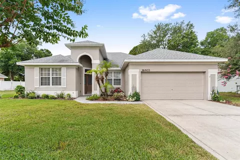 36403 Grand Island Oaks Cir, Grand Island, FL 32735