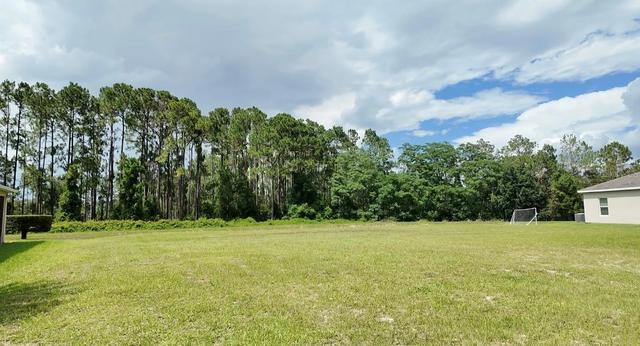 5820 Windsong Oak Dr, Leesburg, FL 34748