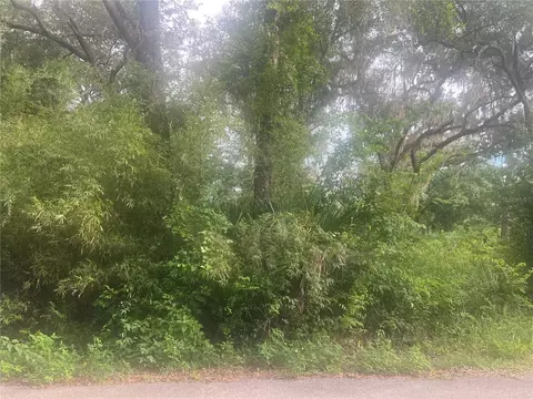 NE 32nd Street, Silver Springs, FL 34488