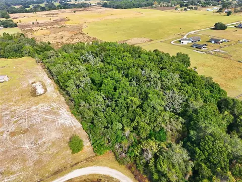 Curle Road, Eustis, FL 32736 photo 1