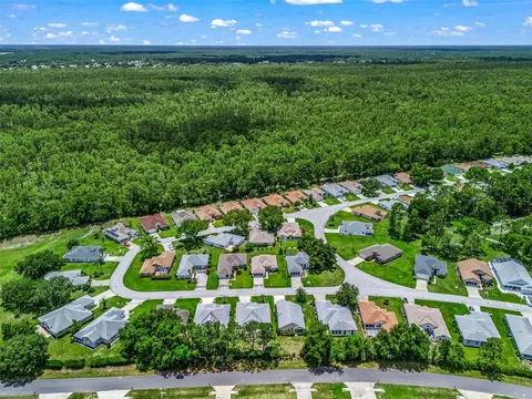 View/Area - 6318 SW 117th Loop, Ocala, FL 34476 photo 8 of 8