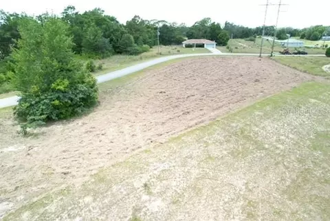 Locust Street, Ocala, FL 34472 photo 7