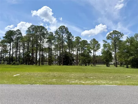 35135 Pinegate Trl, Eustis, FL 32736 photo 7
