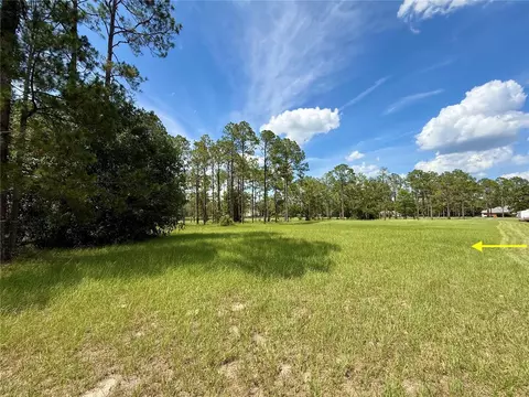 35135 Pinegate Trl, Eustis, FL 32736 photo 24