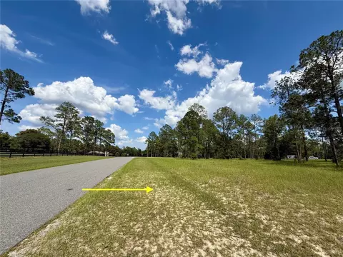 35135 Pinegate Trl, Eustis, FL 32736 photo 12