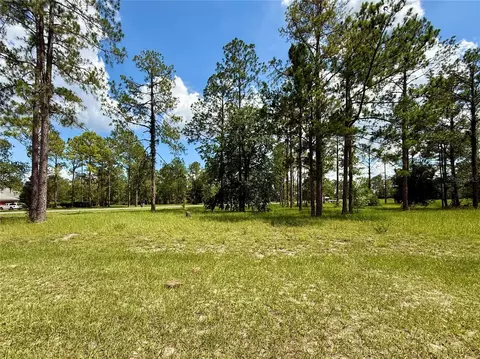 35135 Pinegate Trl, Eustis, FL 32736 photo 9