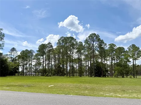 35135 Pinegate Trl, Eustis, FL 32736 photo 6