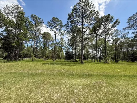 35135 Pinegate Trl, Eustis, FL 32736 photo 10