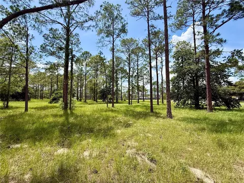 35135 Pinegate Trl, Eustis, FL 32736 photo 8