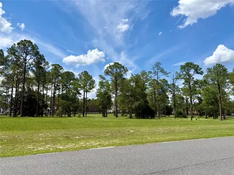 35135 Pinegate Trl, Eustis, FL 32736 photo 4