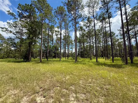 35135 Pinegate Trl, Eustis, FL 32736 photo 22