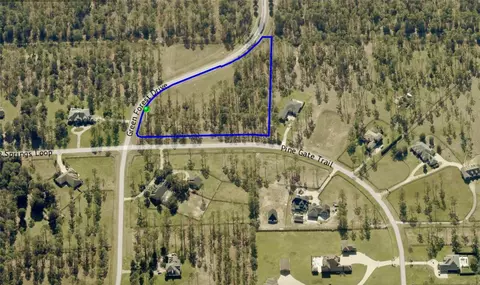 35135 Pinegate Trl, Eustis, FL 32736 photo 18