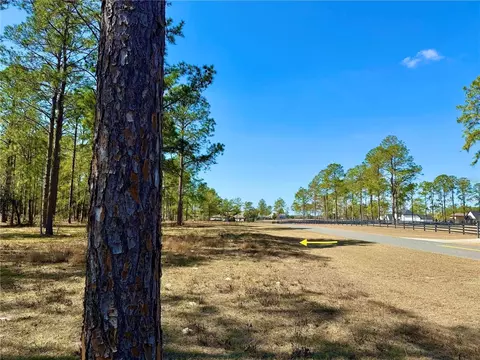 35135 Pinegate Trl, Eustis, FL 32736 photo 20