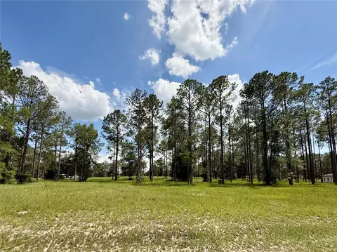 35135 Pinegate Trl, Eustis, FL 32736 photo 11