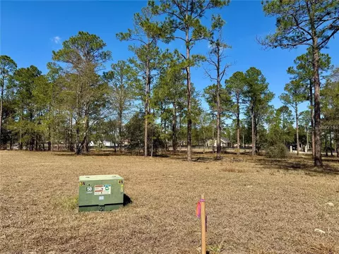 35135 Pinegate Trl, Eustis, FL 32736 photo 19