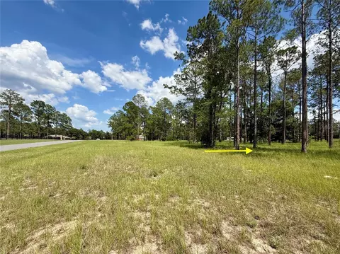 35135 Pinegate Trl, Eustis, FL 32736 photo 21