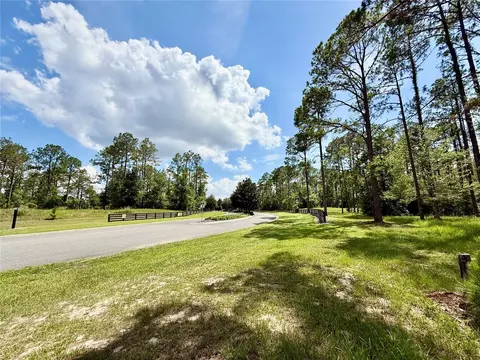 35135 Pinegate Trl, Eustis, FL 32736 photo 25