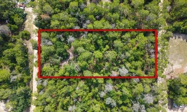 Berry Street, Paisley, FL 32767