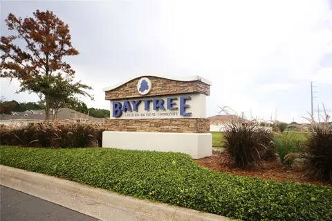 136 Baytree Blvd, Tavares, FL 32778