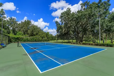 View/Area - 24353 Calusa Blvd, Eustis, FL 32736 photo 2 of 3