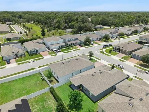 455 Winter Solstice Ln, Mount Dora, FL 32757 photo 38