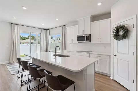 455 Winter Solstice Ln, Mount Dora, FL 32757 photo 13