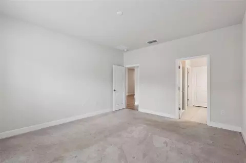 455 Winter Solstice Ln, Mount Dora, FL 32757 photo 20