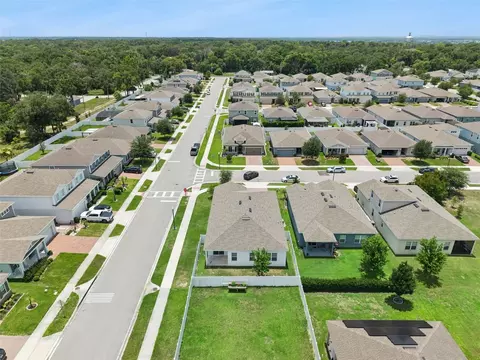 455 Winter Solstice Ln, Mount Dora, FL 32757 photo 39