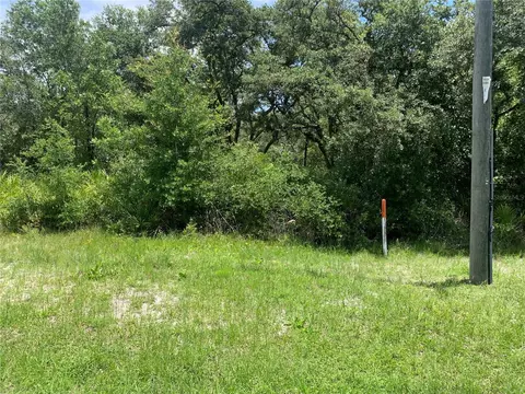 8098 Treiman Blvd, Webster, FL 33597